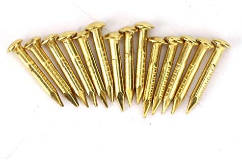 Nagels | Messing Spijkers, 100 Stuks Ronde Kop Gouden Spijkers, Messing Wandspijkers 10Mm 15Mm 18Mm 22Mm, Meubel Messing Spijkers Voor Hout, Voor Het Ophangen Van Fotolijsten Spiegel, Meubel Scharnier Hardware Accessoires (10Mm) Bevestigingsmiddelen Nagels