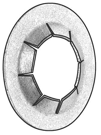 Noten | Waarde Merk, 4Hfx1, Duwmoer, Stud Behoud, Stl, 3/8 In, Pk5 Bevestigingsmiddelen Noten