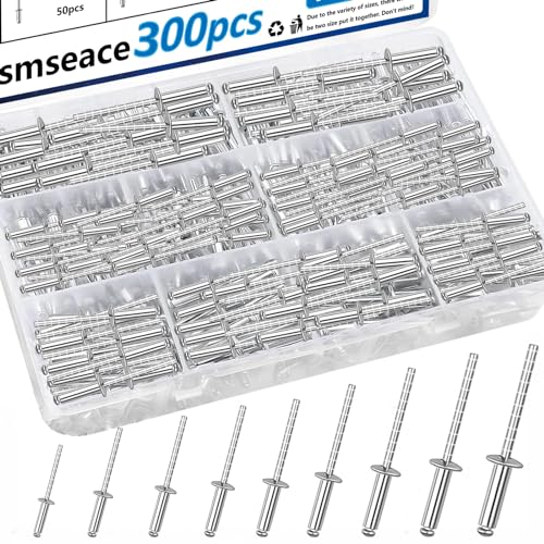 Rivetten | 300 Stuks RVS Popnagels Assortiment Kit 8 Maten RVS Popnagels (1/8″ 5/32″ 3/16″) Voor Metaal/Meubels/Automotive/Instruments RVS Popnagels Set Bevestigingsmiddelen Rivetten